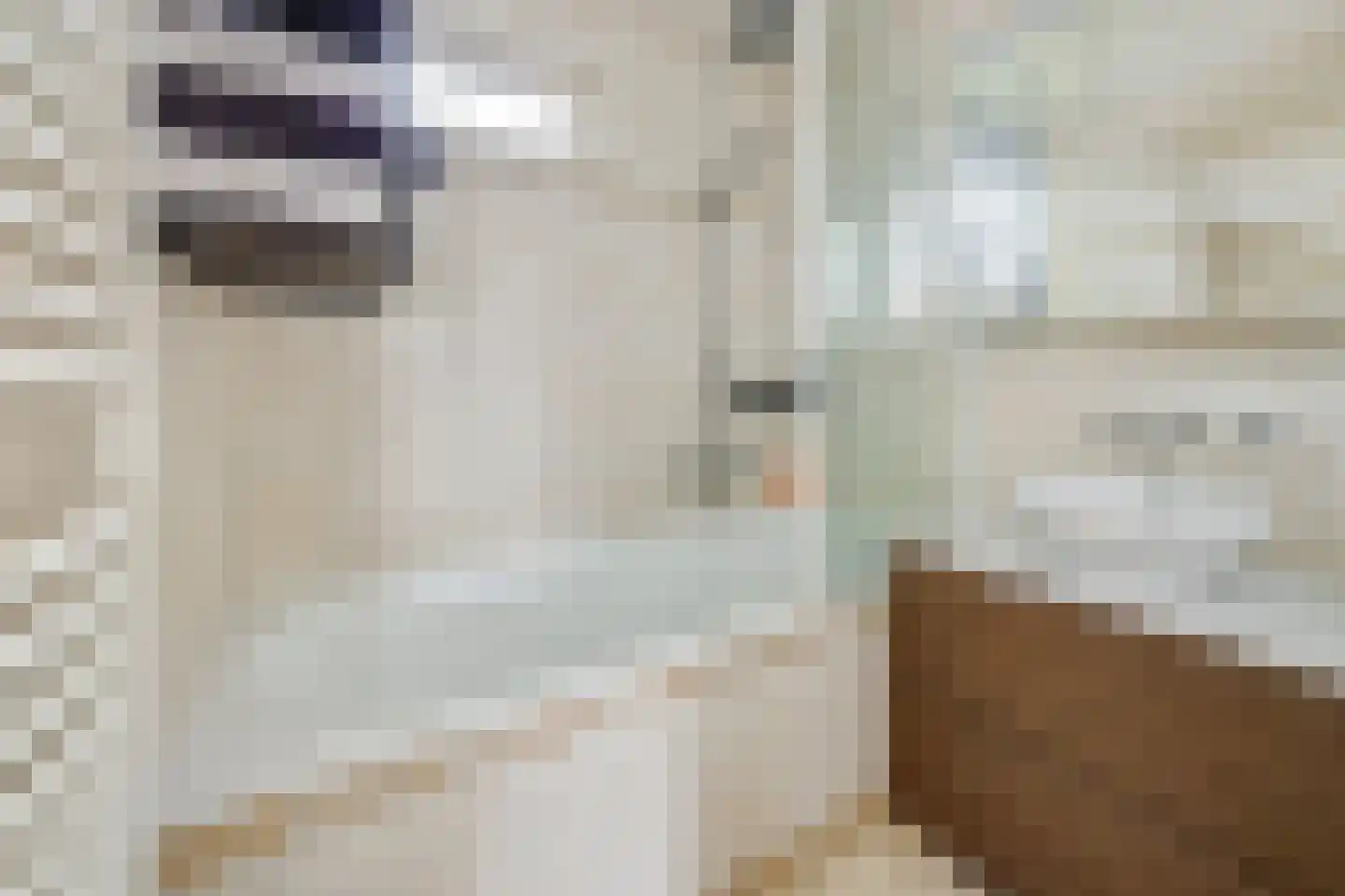 Sint Hubertusstraat 18 Liessel thumbnail 22