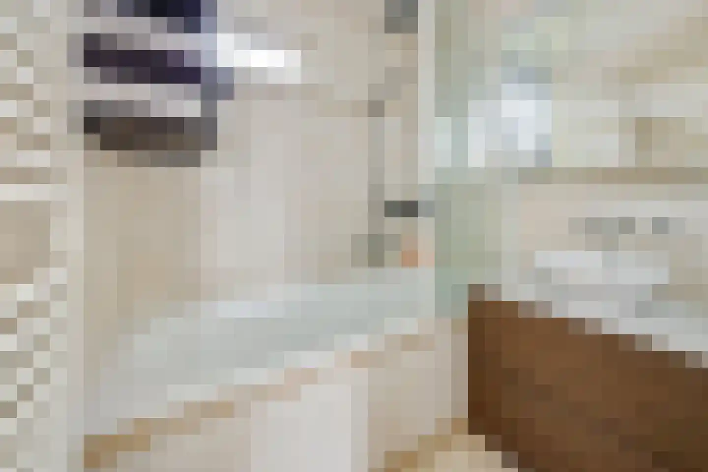 Sint Hubertusstraat 18 Liessel thumbnail 4