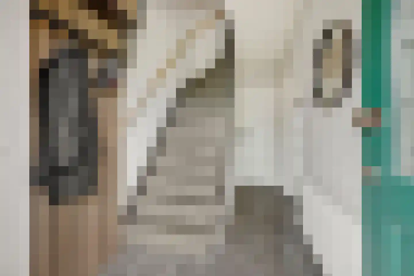 Sint Hubertusstraat 18 Liessel thumbnail 7