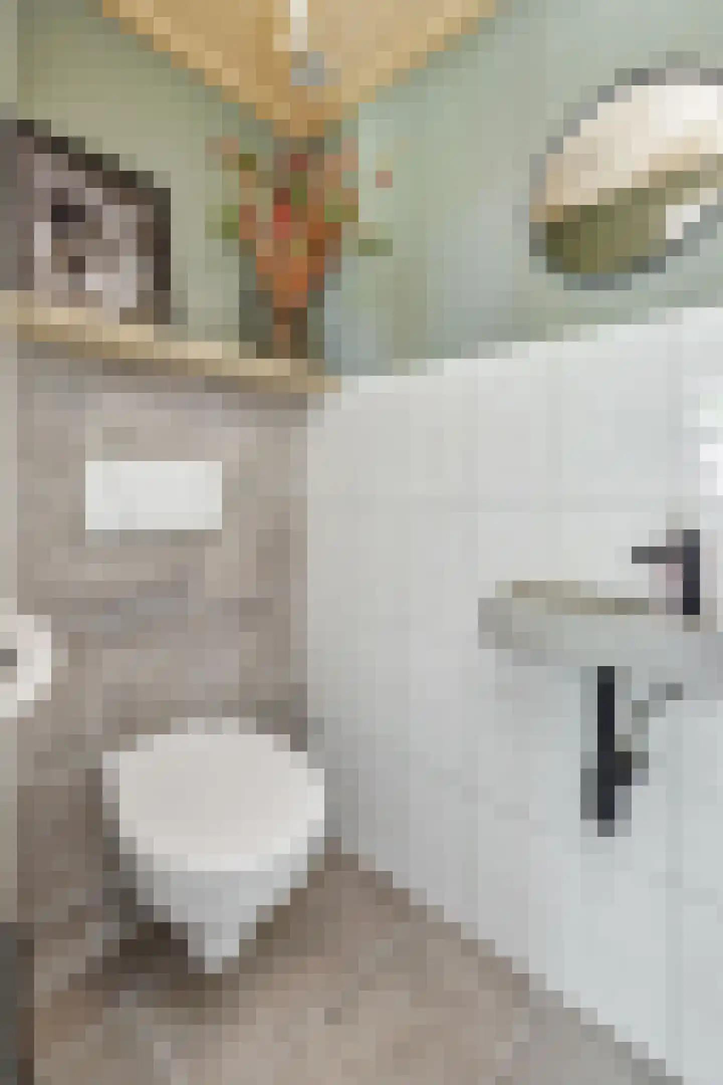 Sint Hubertusstraat 18 Liessel thumbnail 9
