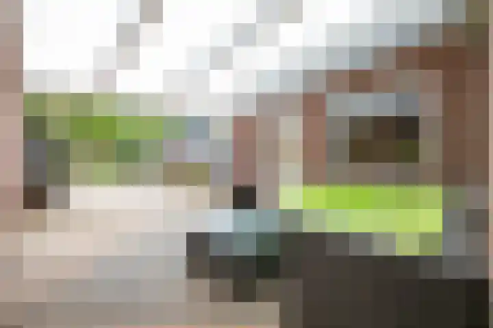 Sint Hubertusstraat 31 Eygelshoven thumbnail 24