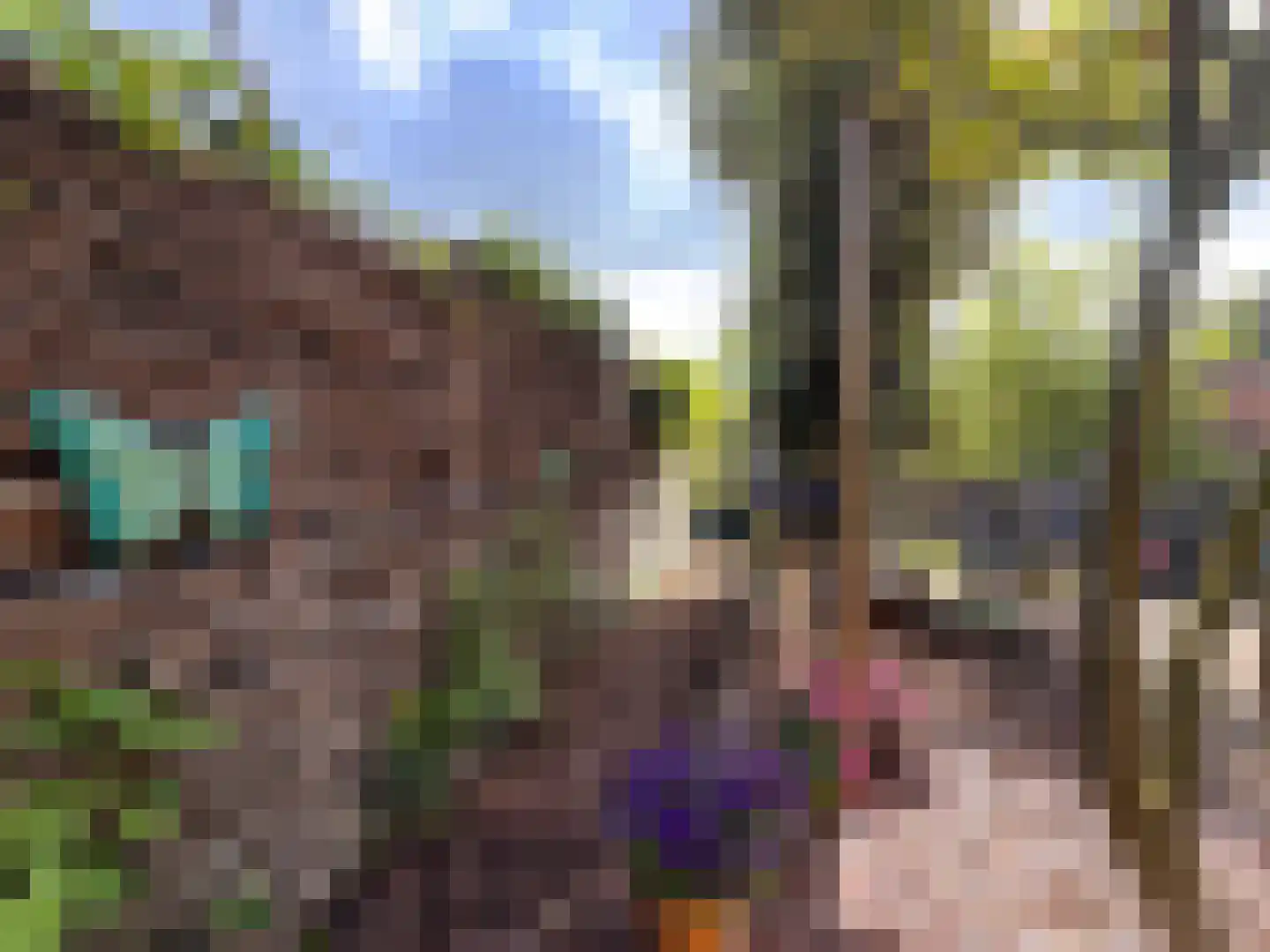 Sint Hubrechtstraat 7 Hoek thumbnail 10