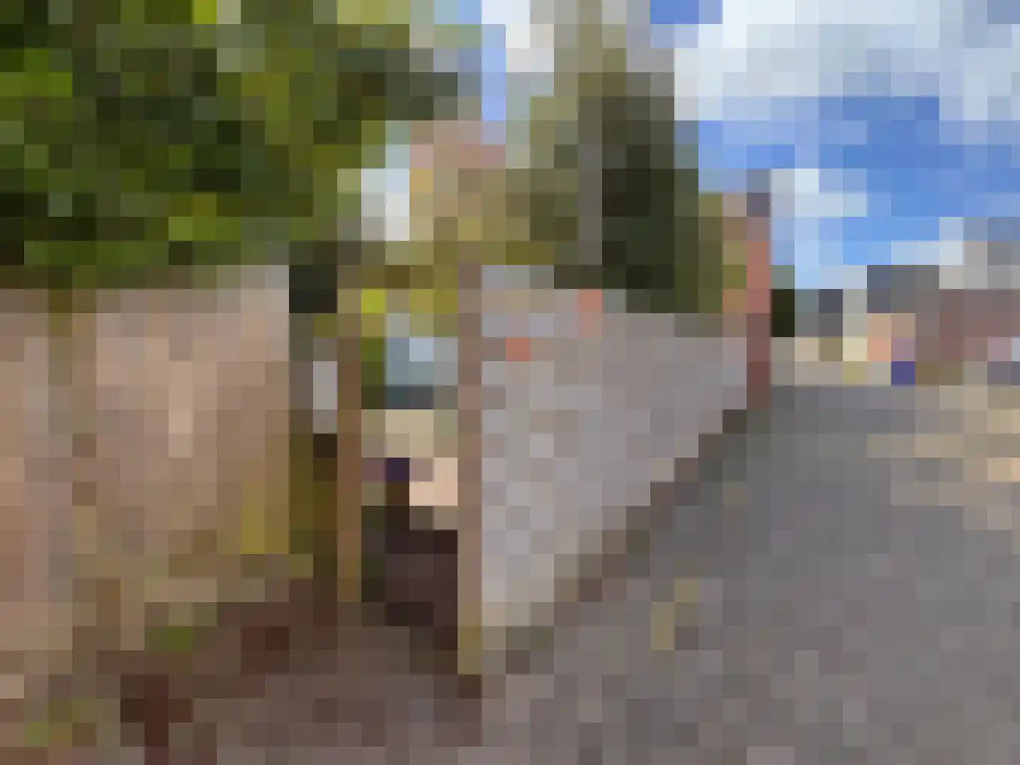 Sint Hubrechtstraat 7 Hoek thumbnail 14