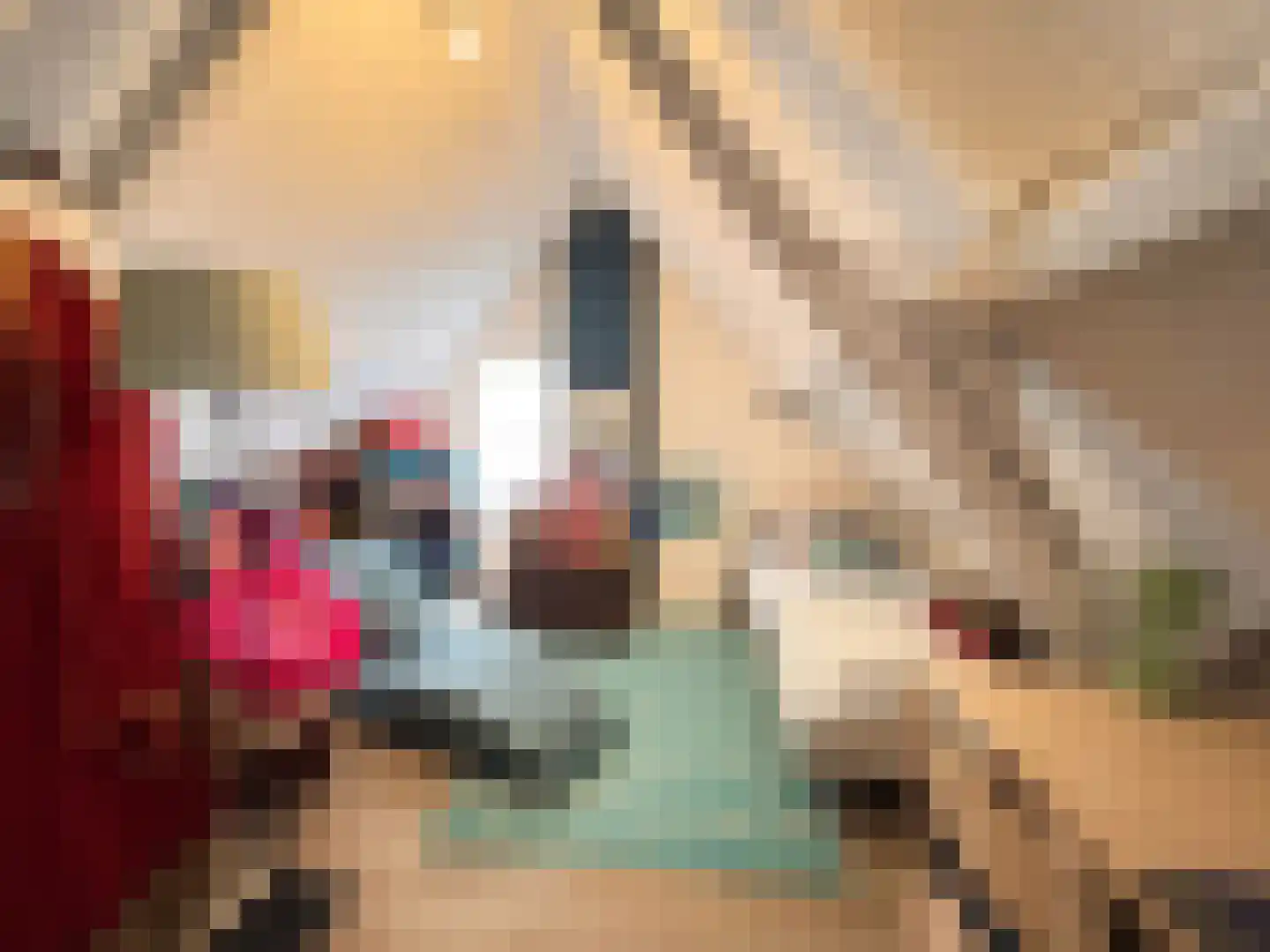Sint Hubrechtstraat 7 Hoek thumbnail 21