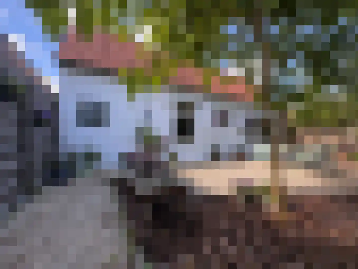 Sint Hubrechtstraat 7 Hoek thumbnail 6