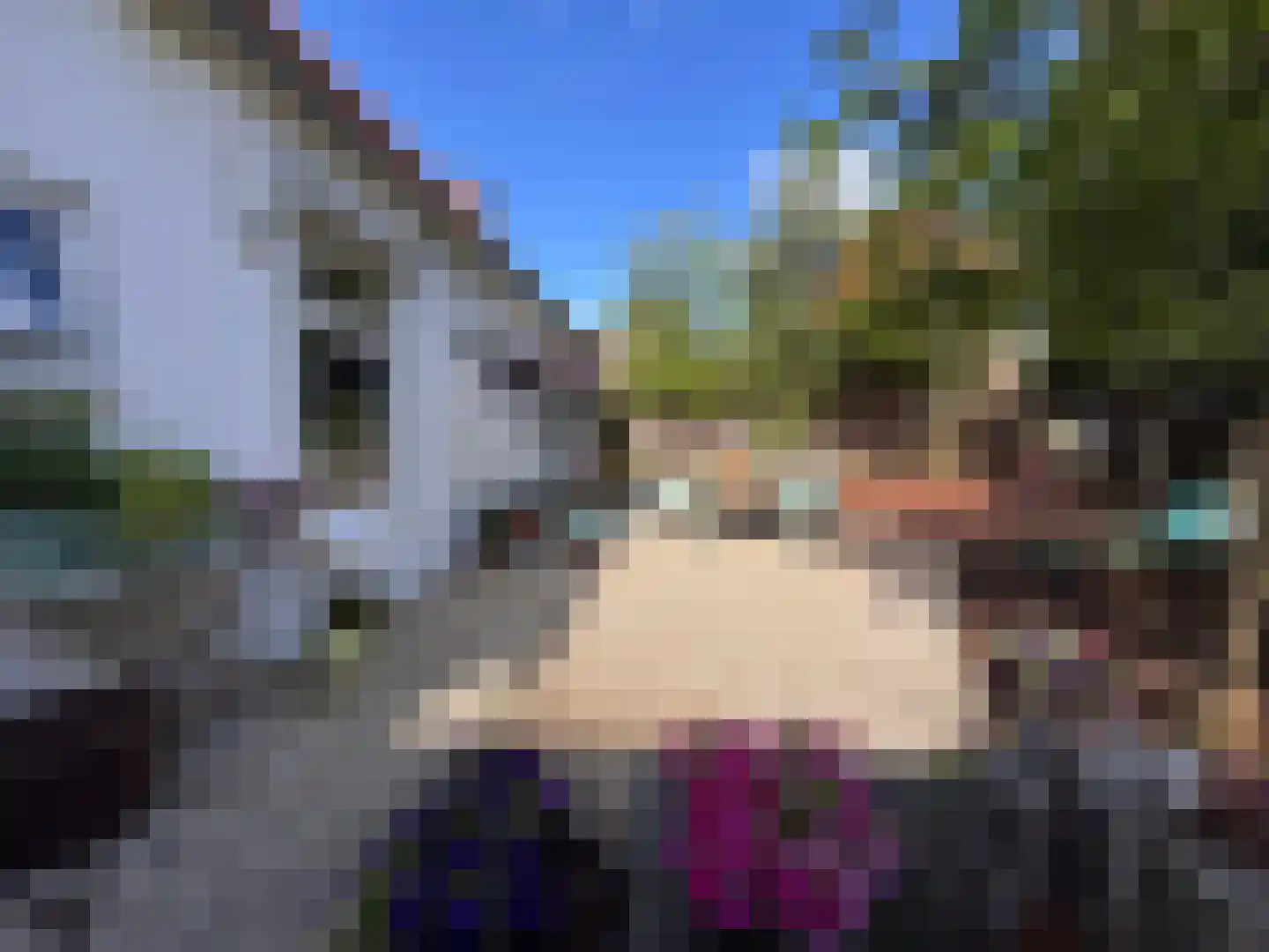 Sint Hubrechtstraat 7 Hoek thumbnail 7