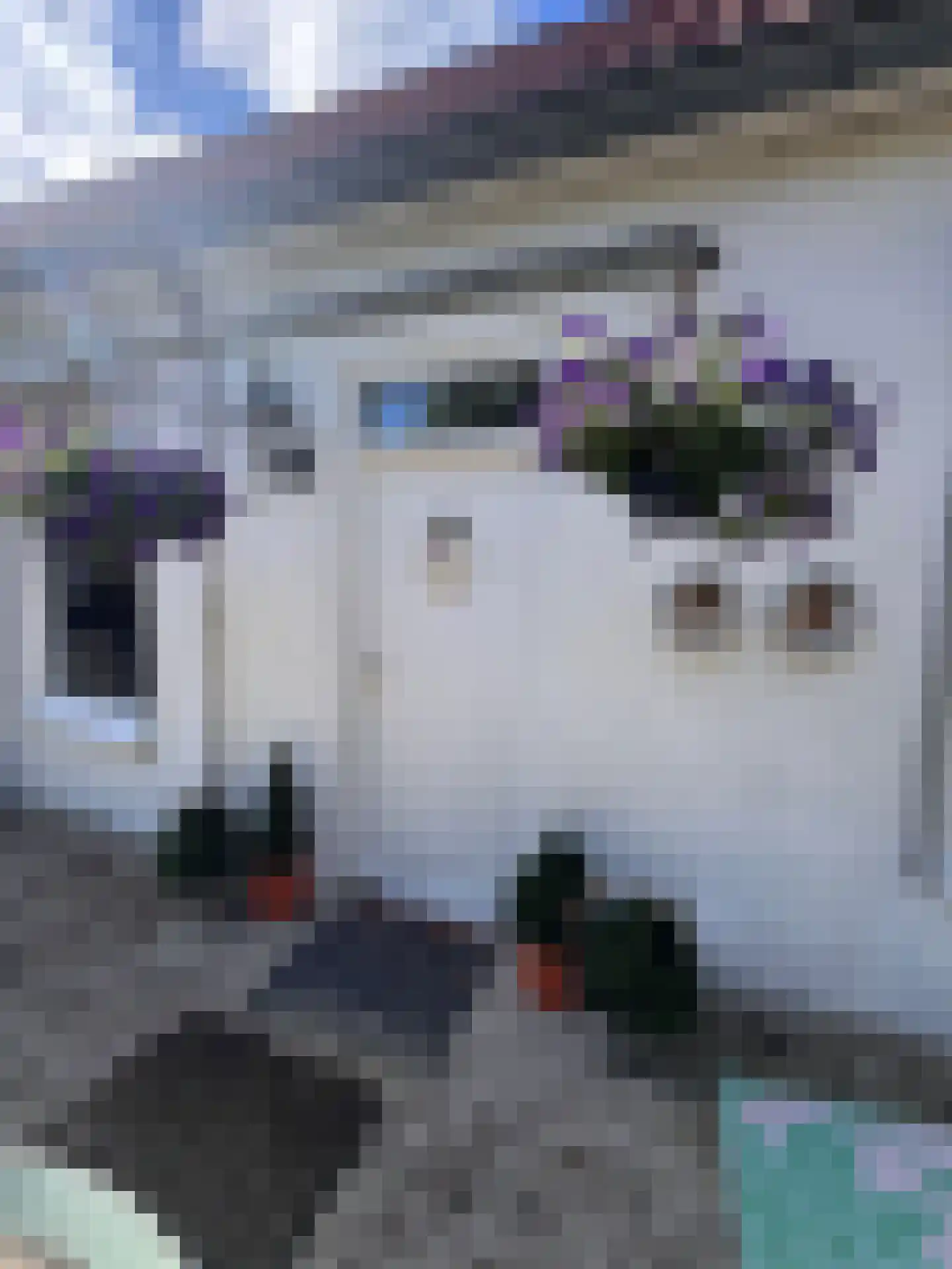 Sint Hubrechtstraat 7 Hoek thumbnail 9