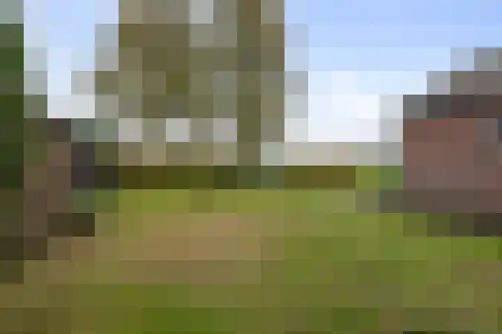 Sint Isidoorstraat 14 Heibloem thumbnail 36