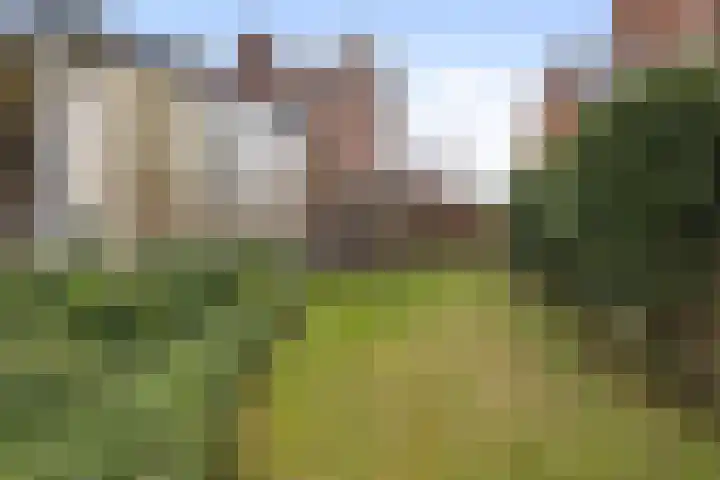 Sint Isidoorstraat 14 Heibloem thumbnail 37
