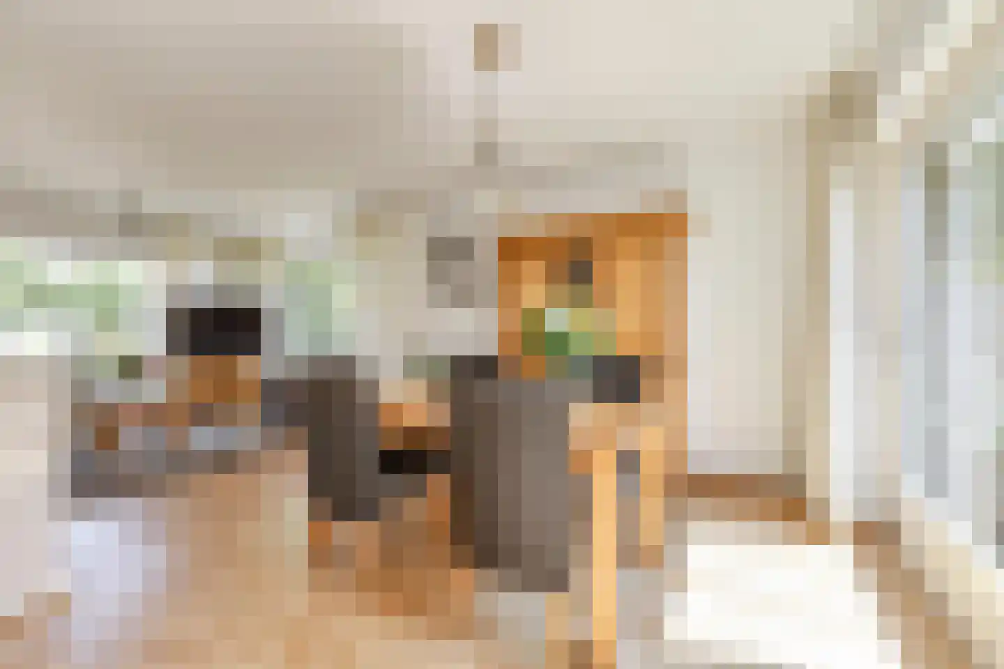 Sint Isidorusstraat 1 Didam thumbnail 4