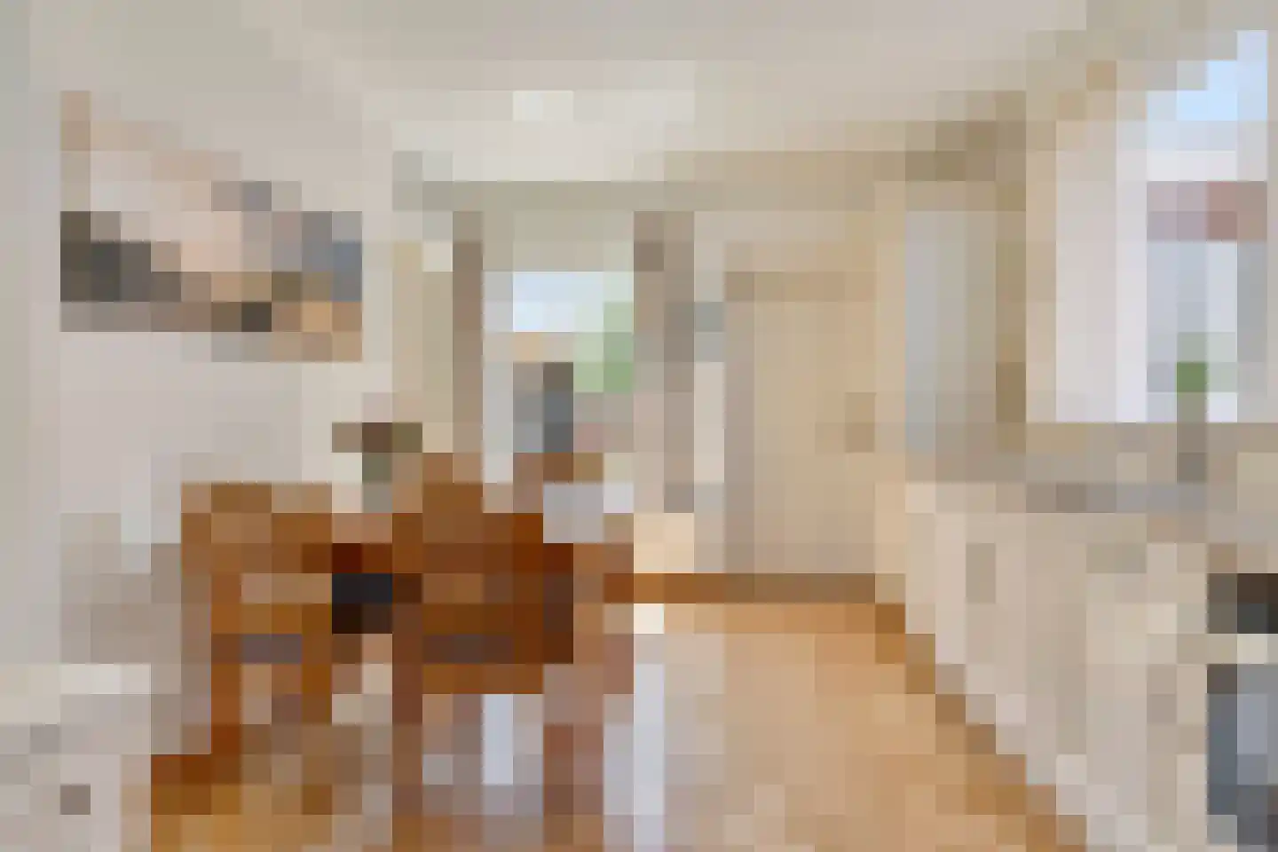 Sint Isidorusstraat 1 Didam thumbnail 9