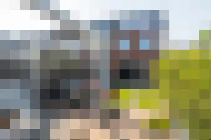 Sint Isidorusstraat 1 Poeldijk thumbnail 4