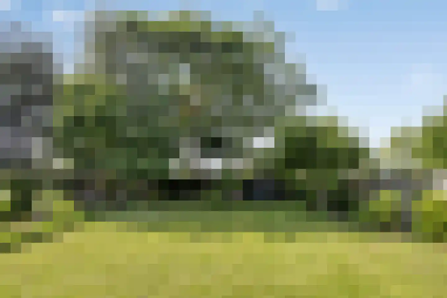 Sint Isidorusstraat 2 a Son en Breugel thumbnail 37
