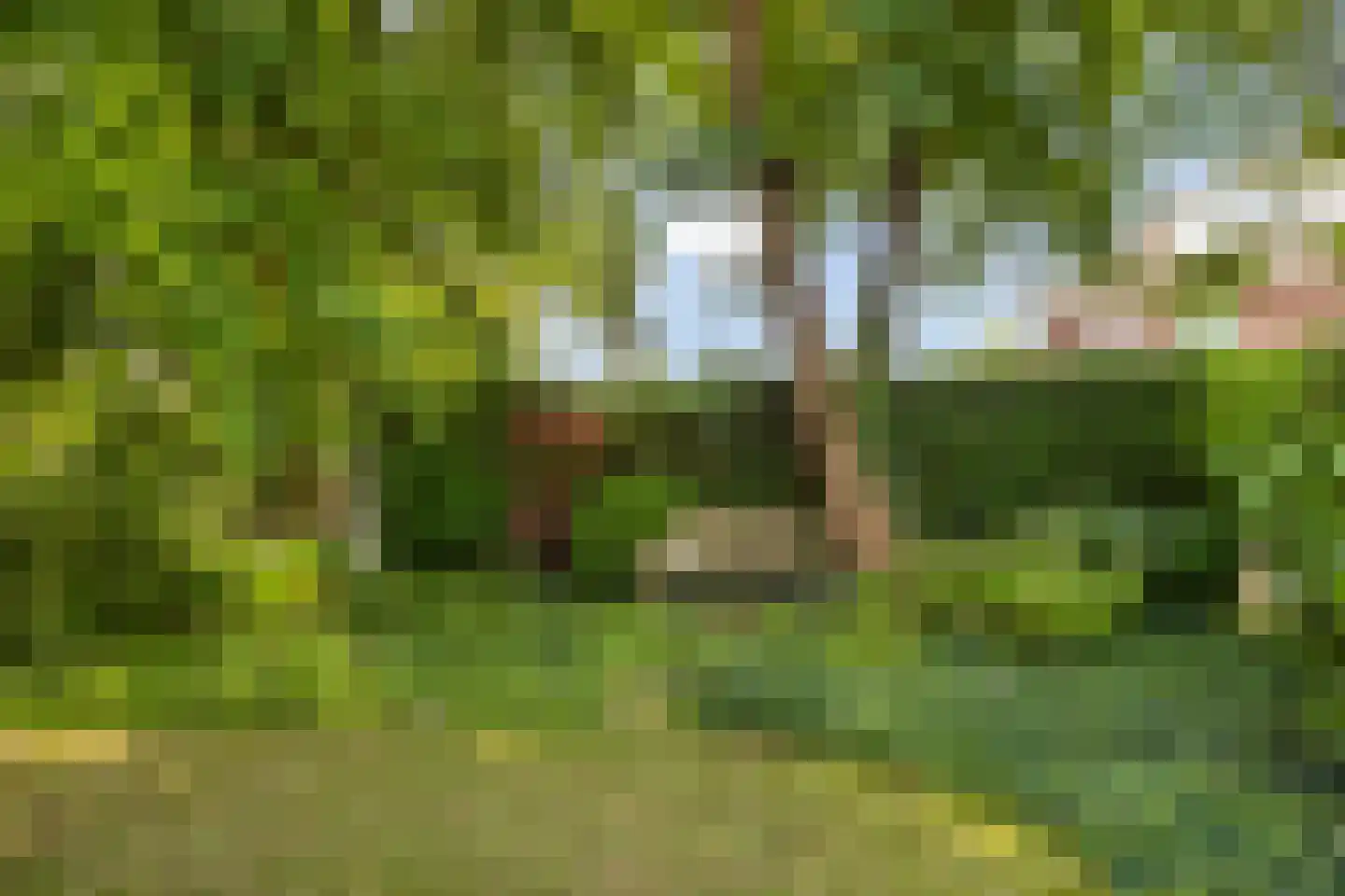 Sint Isidorusstraat 2 a Son en Breugel thumbnail 40