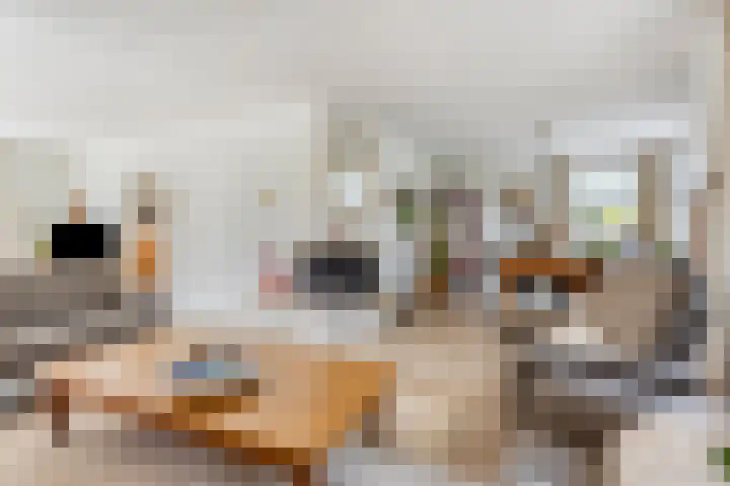 Sint Isidorusstraat 2 a Son en Breugel thumbnail 7