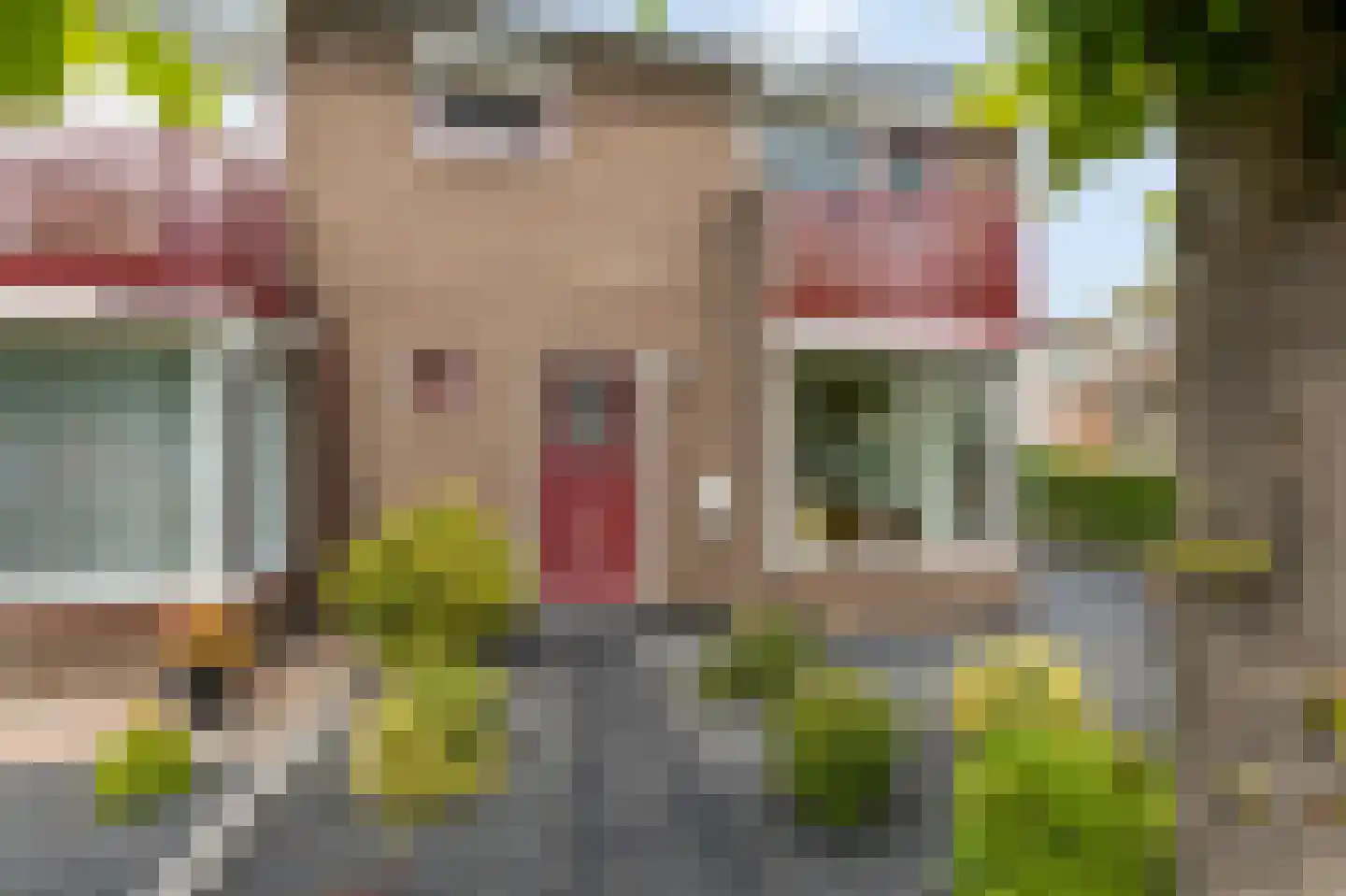 Sint Isidorusstraat 2 Didam thumbnail 11