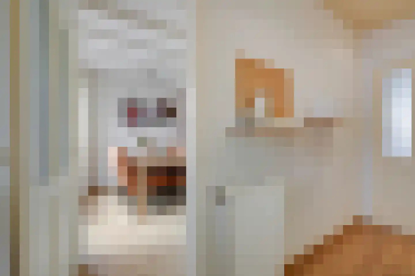 Sint Isidorusstraat 2 Didam thumbnail 17