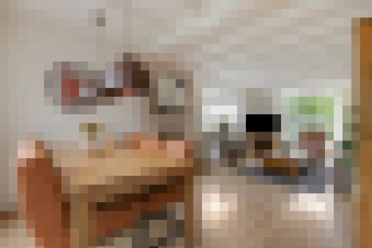Sint Isidorusstraat 2 Didam thumbnail 18