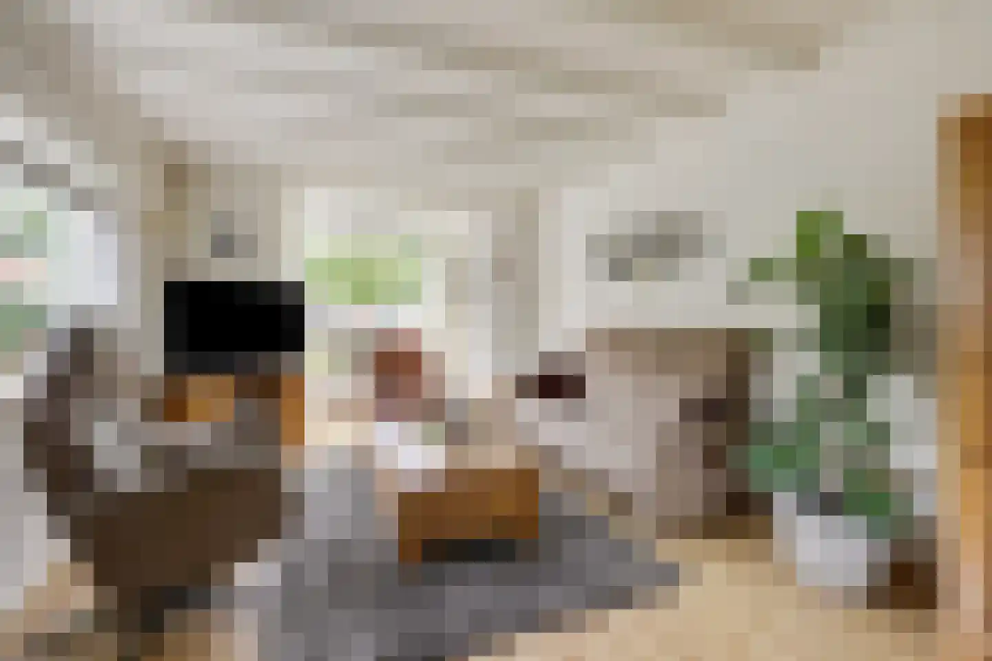 Sint Isidorusstraat 2 Didam thumbnail 20