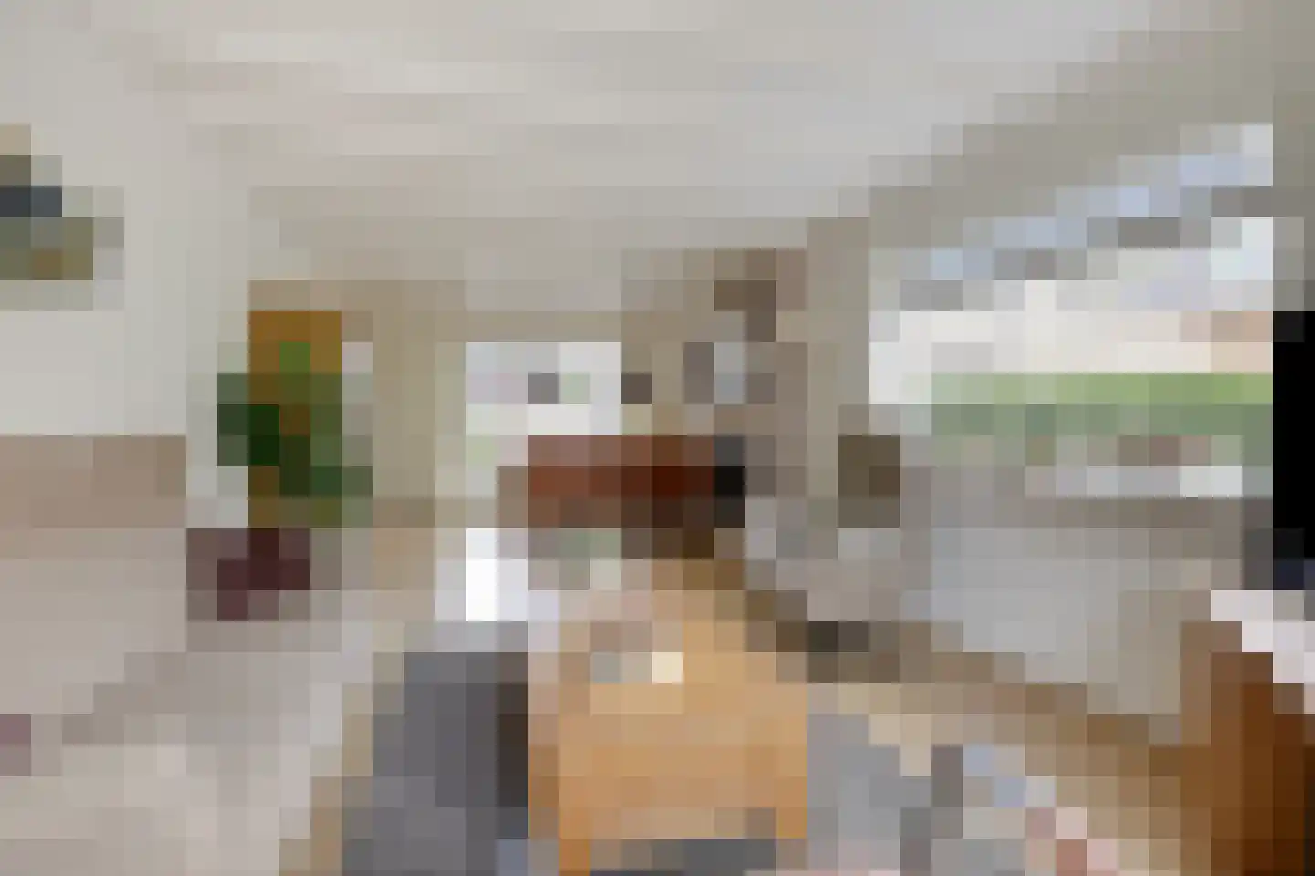 Sint Isidorusstraat 2 Didam thumbnail 21