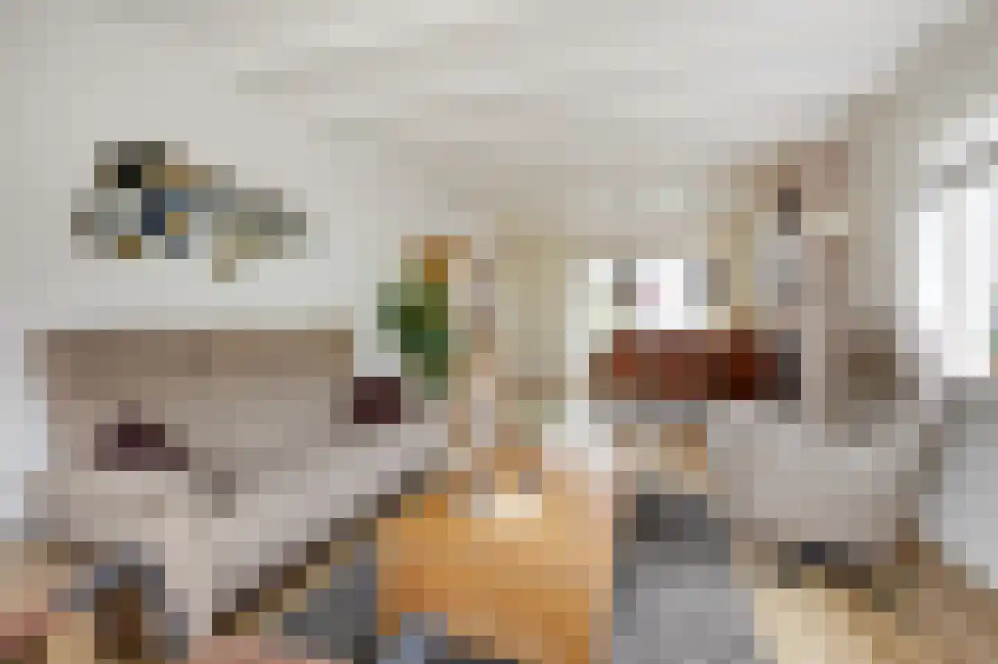 Sint Isidorusstraat 2 Didam thumbnail 22