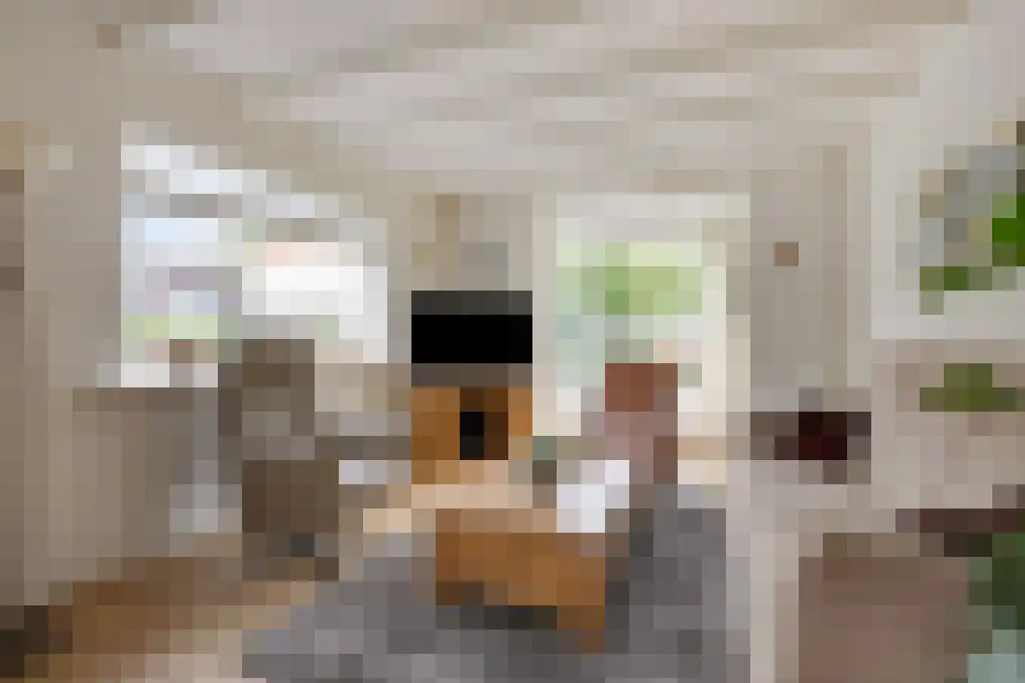 Sint Isidorusstraat 2 Didam thumbnail 23