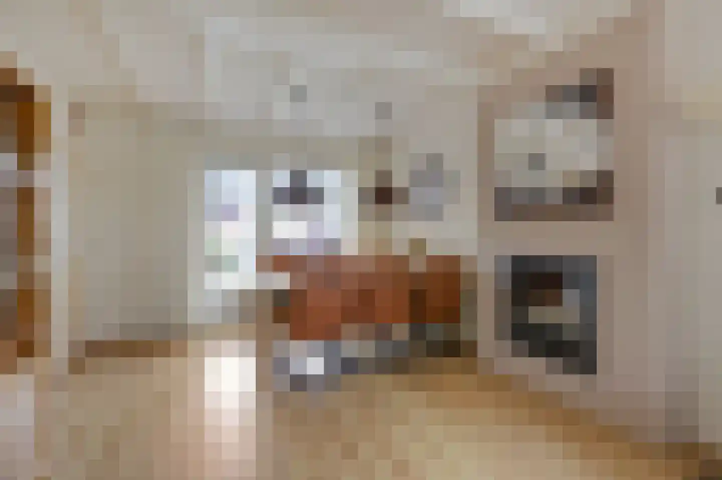 Sint Isidorusstraat 2 Didam thumbnail 24