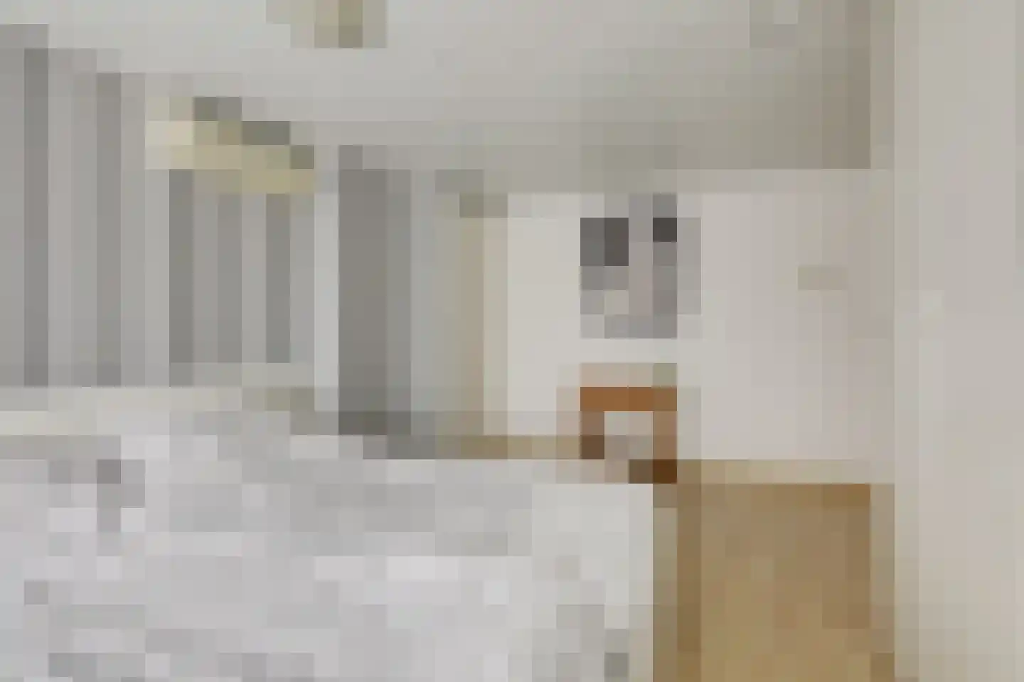 Sint Isidorusstraat 2 Didam thumbnail 38