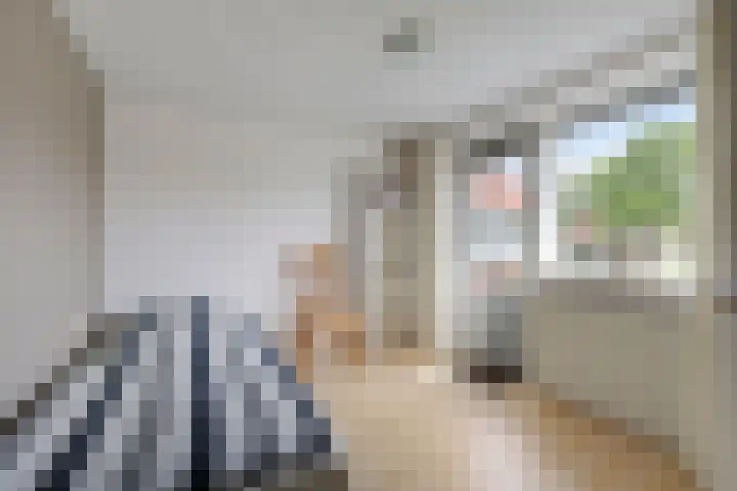Sint Isidorusstraat 2 Didam thumbnail 39