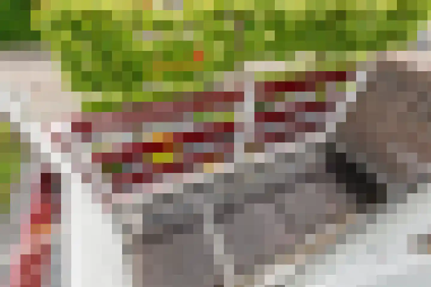 Sint Isidorusstraat 2 Didam thumbnail 40