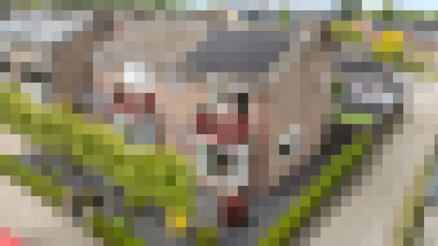 Sint Isidorusstraat 2 Didam thumbnail 5