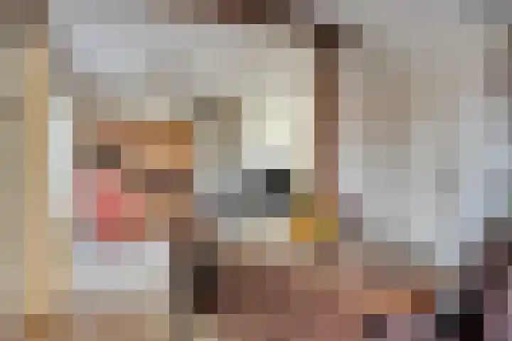 Sint Isidorusstraat 21 Son en Breugel thumbnail 10