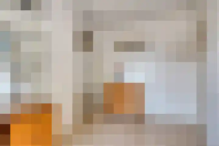 Sint Isidorusstraat 21 Son en Breugel thumbnail 22
