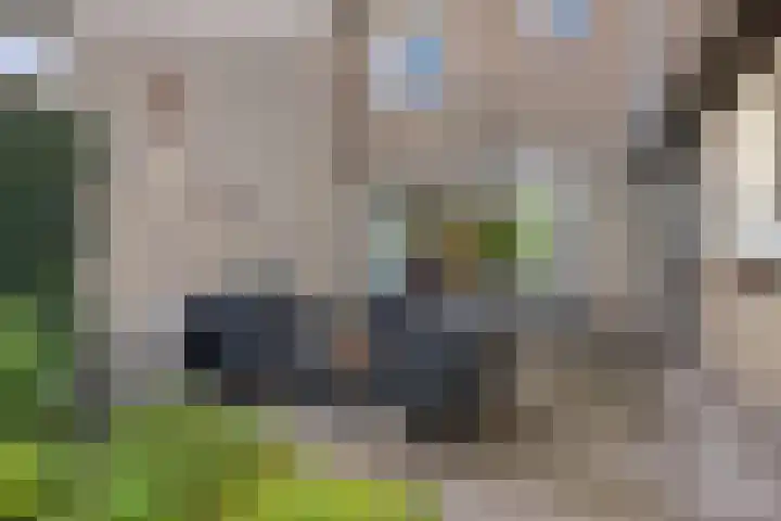 Sint Isidorusstraat 21 Son en Breugel thumbnail 26