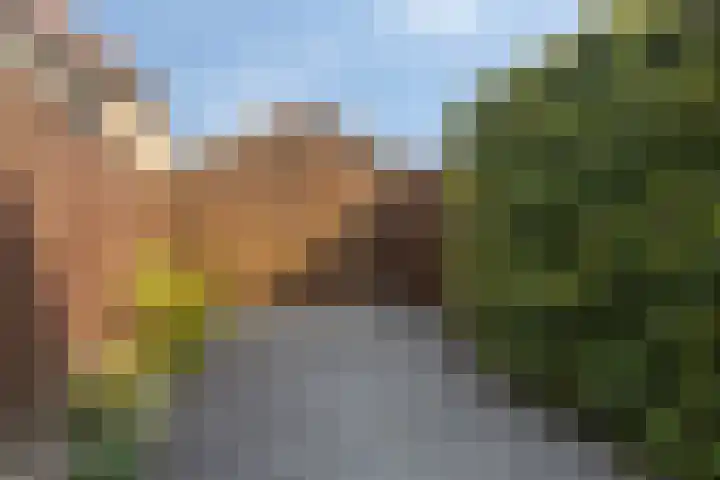 Sint Isidorusstraat 21 Son en Breugel thumbnail 30
