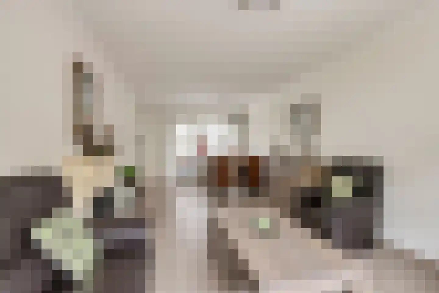 Sint Isidorusstraat 4 Didam thumbnail 4