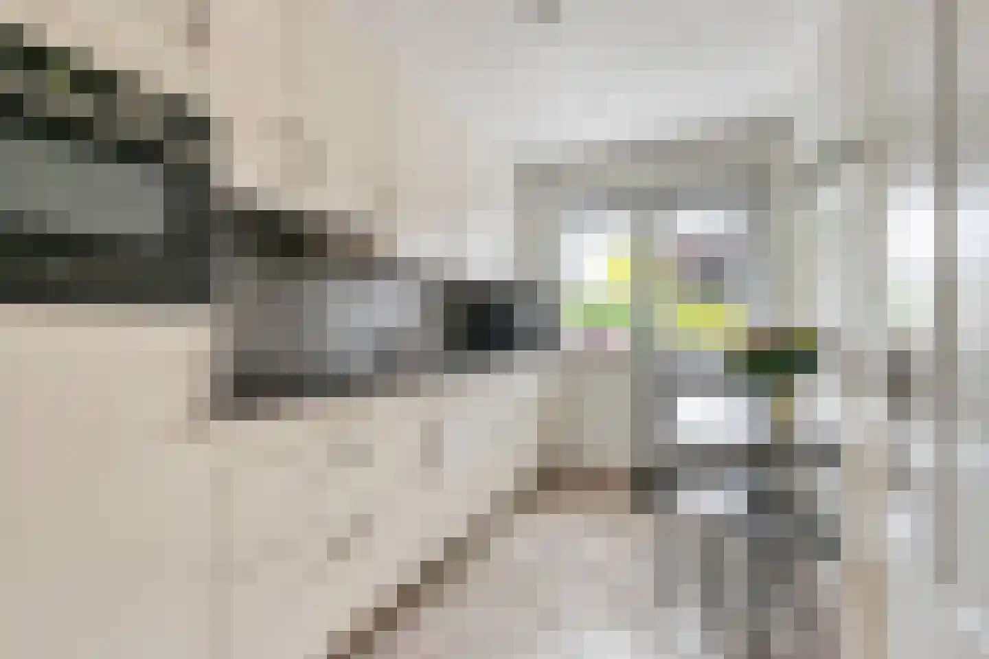 Sint Isidorusstraat 4 Didam thumbnail 7