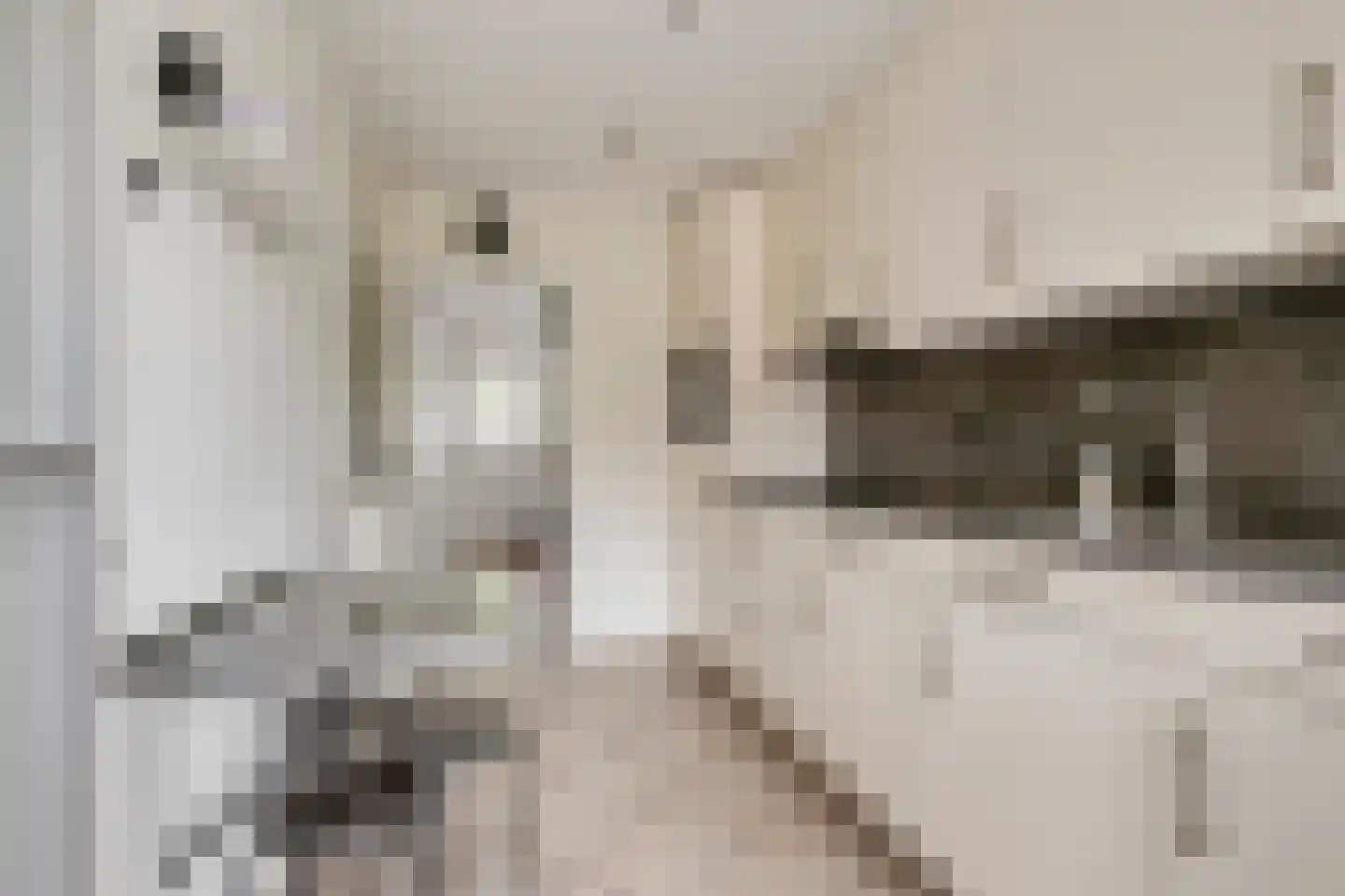 Sint Isidorusstraat 4 Didam thumbnail 8