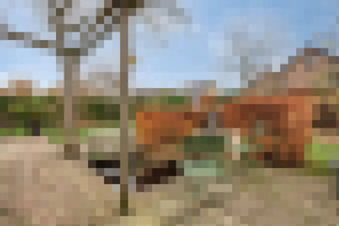 Sint Jacobsbaan 51 Goirle thumbnail 34
