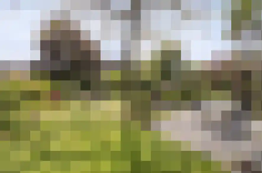 Sint Jacobsbaan 51 Goirle thumbnail 37