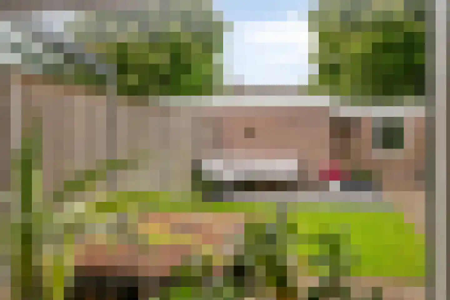 Sint Jacobsbaan 6 Goirle thumbnail 10