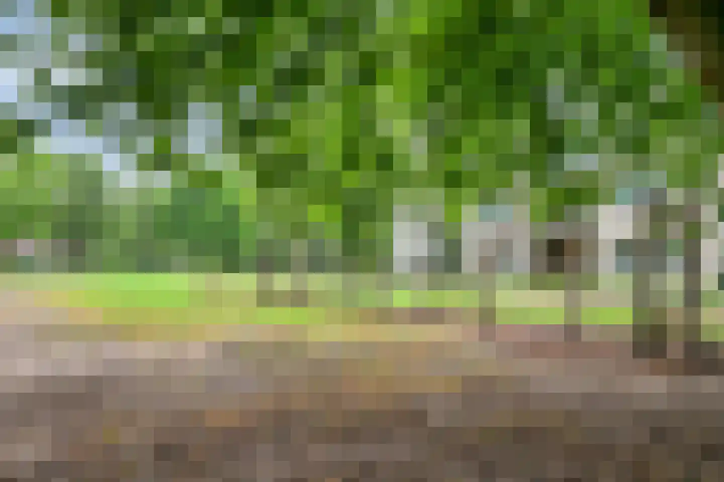 Sint Jacobsbaan 6 Goirle thumbnail 46
