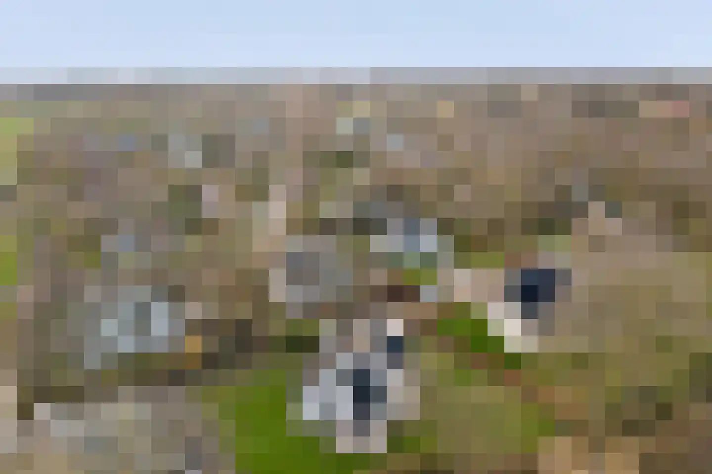 Sint Jacobshoofd 15 Vrouwenpolder thumbnail 36
