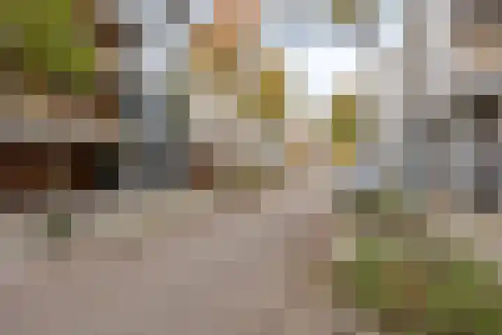 Sint Jacobslaan 28 Roermond thumbnail 28
