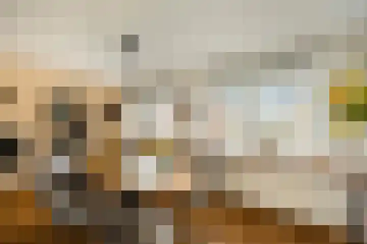 Sint Jacobslaan 36 Roermond thumbnail 14