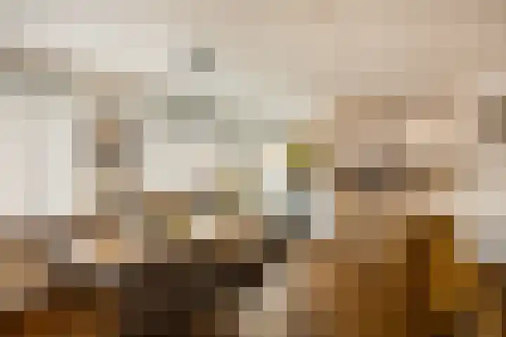 Sint Jacobslaan 36 Roermond thumbnail 18