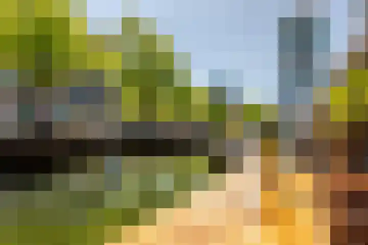 Sint-Jacobsplaats 102 Rotterdam thumbnail 13