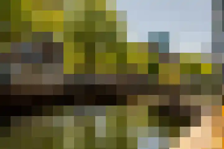 Sint-Jacobsplaats 102 Rotterdam thumbnail 14