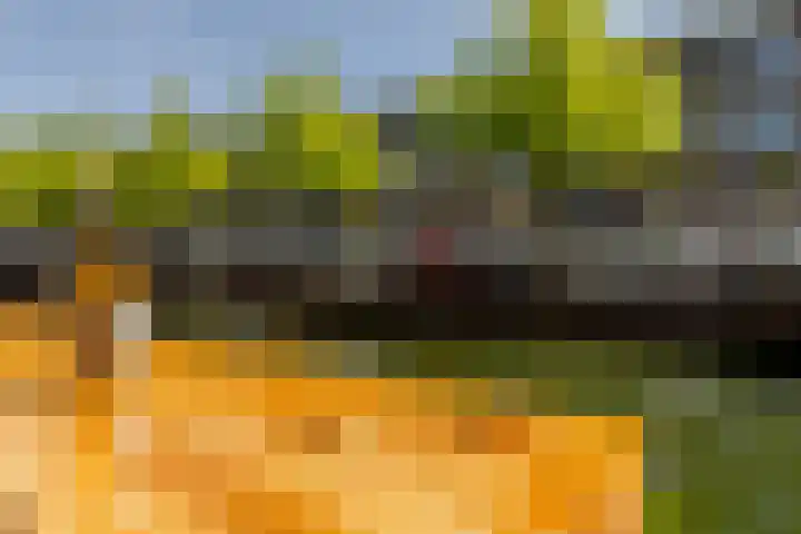 Sint-Jacobsplaats 102 Rotterdam thumbnail 16