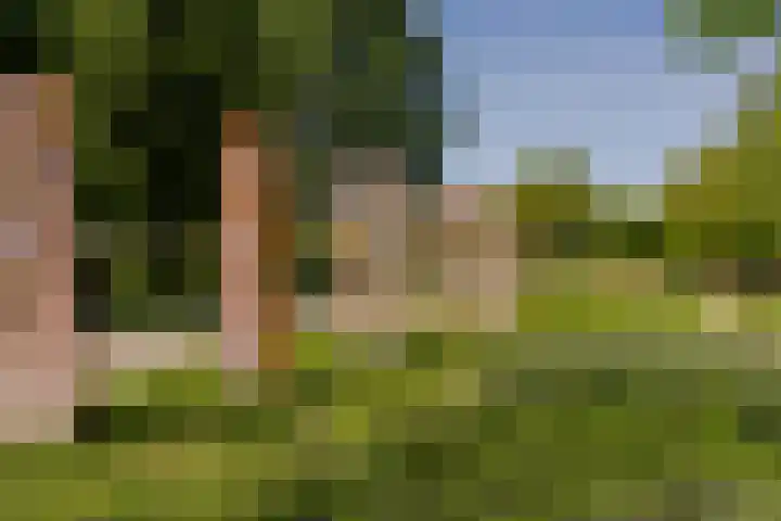 Sint-Jacobsplaats 102 Rotterdam thumbnail 33